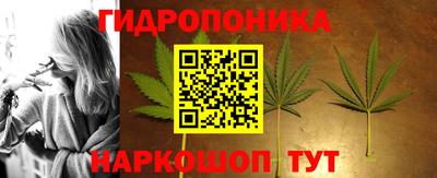 марихуана Кингисепп